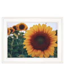 "Midwest Livin' II" by Donnie Quillen , Ready to Hang Framed Print, White Frame