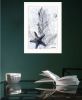 "Ocean Collection 4" By Stellar Design Studio, Ready to Hang Framed Print, White Frame